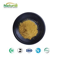 Ginkgo Flavone glykosider pulver