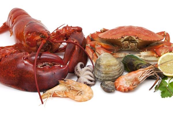 Top 5 Functions of Astaxanthin for Aquatic Animals