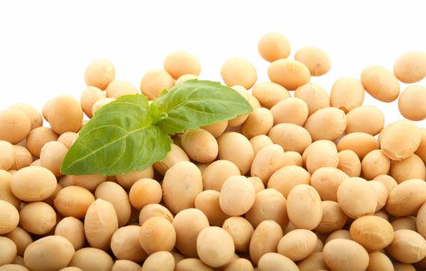 Topp 5 fordeler med Soya isoflavoner for kvinner