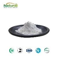 naturlig sag palmetto ekstrakt pulver